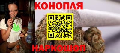 гашик Будённовск