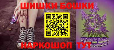 гашик Будённовск