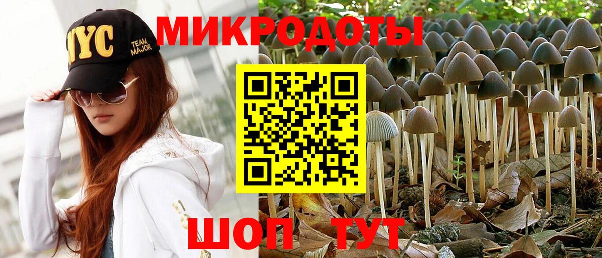 Псилоцибиновые грибы ЛСД Строитель